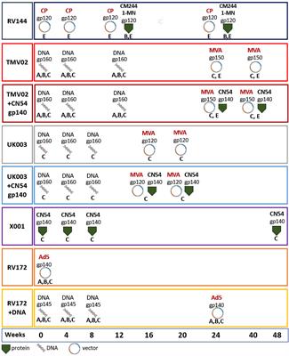 Systematic comparison of HIV-1 Envelope-specific IgG responses induced by different vaccination regimens: Can we steer IgG recognition towards regions of viral vulnerability?